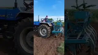 Blackgram seed planting  with seed drill || Sonalika Tractor || [ Seed  VBN-8 ] #tractor #blackgram