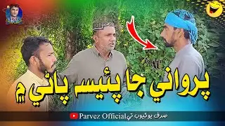 Parwane Ja Paisa Paani Mai | Parwano Official | Comedy Fuuny Video