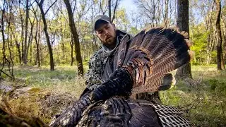 Public Land Old Roots Gobbler