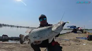 Потерянный морской окунь, эпизод 36 | Морской окунь, пойманный в пруду П'Ти (MBC) - настоящее при...
