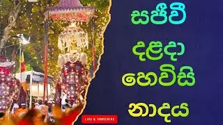 හෙවිසි නාදය: සිත් සන්සුන් කරන පූජනීය නාදය Kandy Hewisi Performance – Dalada Maligawa Highlight