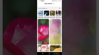 Wallpaper App using flutter