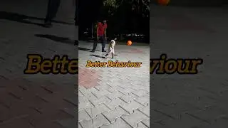 #mydad #dady #vlog #shortvideo #trendingreels #babydaddy #daddymoments #dadmoments #superdad
