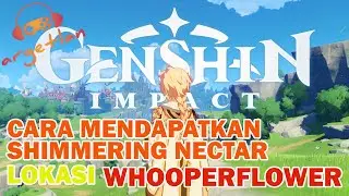 LOKASI WHOOPERFLOWER | GENSHIN IMPACT: Cara mendapatkan dan crafting SHIMMERING NECTAR