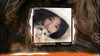 Em L&agrave; Ch&acirc;n &Aacute;i Của Đời Anh - Dimz Cover x NHI Remix | Người Y&ecirc;u Ơi Anh Muốn Cả Thế Giới Biết Một Điều