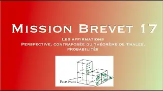 Mission brevet 17 : les affirmations : perspective, parall&eacute;lisme, probabilit&eacute;s