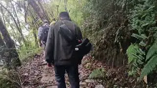 wild adventure walk through hilly, difficult forest terrain Wild Walk Through the Hills