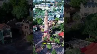 From Swamp to Fun Park Capital