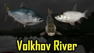 Russian Fishing 4 SALMON & PIKE & ASP | Volkhov River  RF4  SPOT Trolling 43