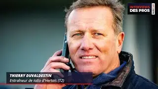THIERRY DUVALDESTIN | ENTRA&Icirc;NEUR DE IALTO D'HERTALS | QUINT&Eacute; DU MARDI 24 D&Eacute;CEMBRE &Agrave; VINCENNES