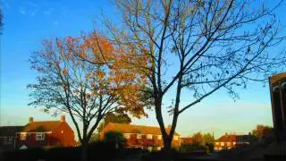 Beautiful relaxing song by Steve O'Neil, The Bird