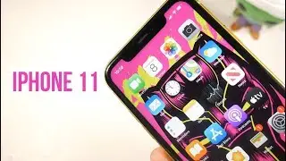 The IPhone 11 6 Months Later - I Still Feel The Same Way!