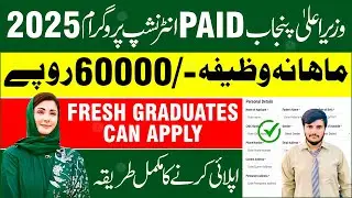 CM Punjab Paid Internship 2025 | Apply Online | 60,000 Stipend for Graduates