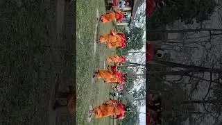 Bodo tribes dance