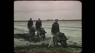 Holwerd Waddenzee : Holwert, Kroanyk fan it Slyk.