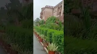 Rajiv Gandhi Regional Museum of Natural History,Sawai Madhopur ||#viral #trending #travel #nature