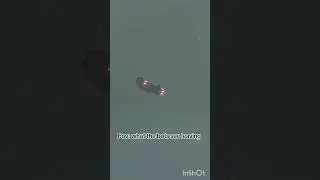 He may have had one too many 