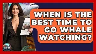 When Is The Best Time To Go Whale Watching? - Europe Travel Pros