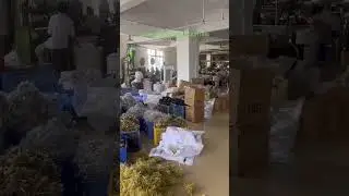 🔥The light string factory has the confidence to sell hundreds of thousands of orders per month!