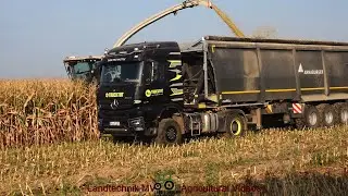 Claas - Fendt - MB - MAN - ++ / Maissilage - Silaging Maize  2024