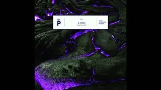 A-Tweed - OTO0OTO aka Fake Robot Cumbia (Original Mix) [Playground Records]