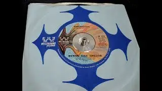 Americans - Byron Mac Gregor - 45 rpm Record - 1973
