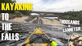 Colinet Bay to Rocky River Falls: A Scenic Paddle Adventure