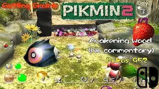 Pikmin 2 - Day 3 (1/3) - Awakening Wood - (No Commentary) - (Nintendo Switch)