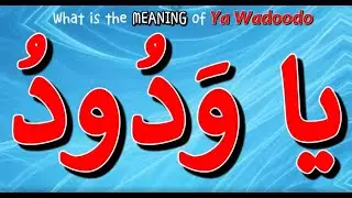 Что означает Ya Wadoodo? | Ya Wadoodo