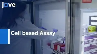 Cell based Assay to Detect Antibodies in Enzyme Replacement Therapies | Protocol Preview