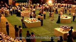 6th International Mango Festival in 1993 in Delhi