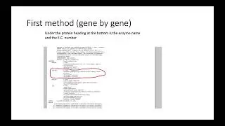 Mapping the genes of biotin pathway group assignment IerardiJ