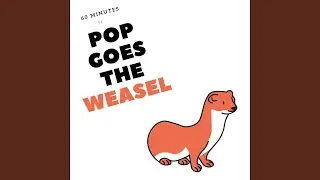 Pop macht das Wiesel