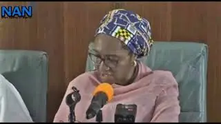 FEC approves $200m loan to finance electrification project