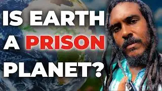 The Planet of the Stomachs - Purgatory Revealed