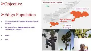 DNA profiling of nine STR loci in the Ediga community of Urban and Rural areas  of Andhra Pradesh