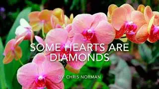 Some Hearts Are Diamonds - Chris Norman with Lyrics