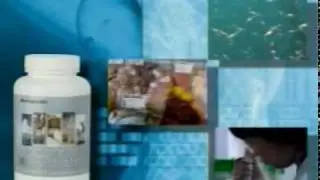Marine Omega highest quality Omega-3