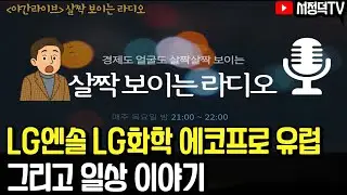 LG엔솔 LG화학 실적 에코프로 유럽 그리고 일상 이야기  #살짝보이는라디오 #일상 #에코프로 #LG엔솔 #LG화학 #실적발표
