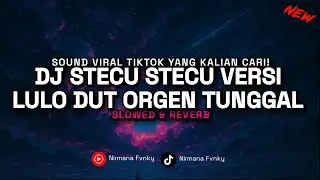 DJ STECU STECU VERSI ORGEN TUNGGAL BY DAYMA PROJECT VIRAL TIKTOK TERBARU 2025!! (Slowed & Reverb)