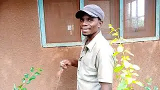 SASA MCHWA BASII~~KUTANA NA MTAALAMU WA KUSAKA MALKIA WA MCHWA NA NJIA ZAKE