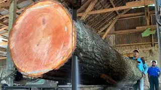 Nearly fatal large-scale sawmill cuts 