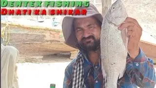 Big size Dentex fishing in sunera ka Nala ! Dhati ka zabardast shikar