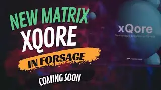 XQore matrix in Forsage | Forsage New matrix coming soon | Forsage busd | Mr Provider