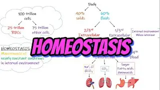 Homeostasis. Chapter 1 part 1. Guyton and Hall Physiology.
