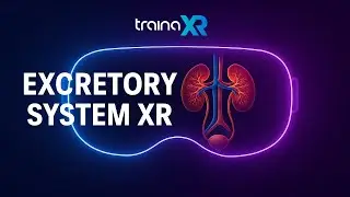 Human Excretory System in VR | Interactive Biology Learning with Traina XR