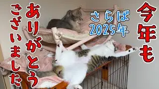 2025年今年もお世話になりました🙇&zwj;♀️