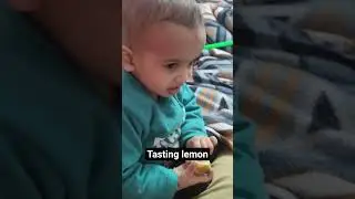 funny reaction on tasting lemon #lemon #lemonade #tasty