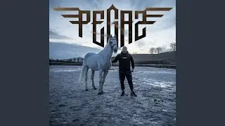 Pegaz