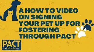 Applying for Pet Fostering with PACT